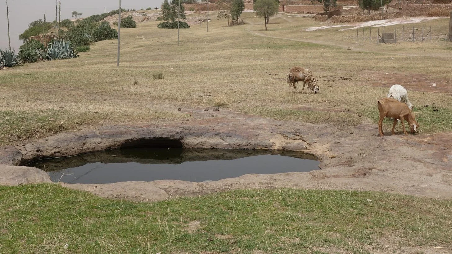 Cistern at Dabra Dammo. Source