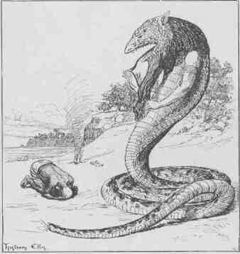The shipwrecked sailor bows before the Prince of Punt, the serpent. Source