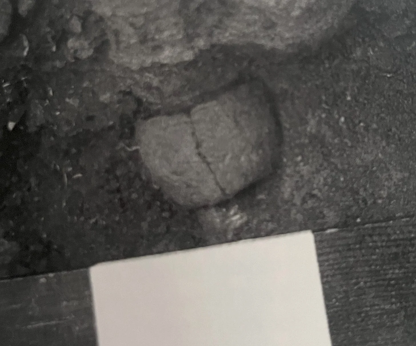 One of the Large Vessels/Pot found at the Sembel Site, which were used for cooking and storing food. (Source: The Archeology Of Ancient Eritrea: pg 125)
