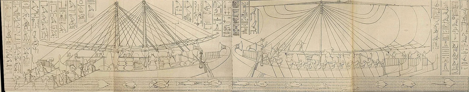 Ancient Egyptians loading their ships and setting sail back to Egypt. Source: Discourse on the Historical and Contemporary Importance of Queen Hatshepsut’s Punt Expedition, page 28.
