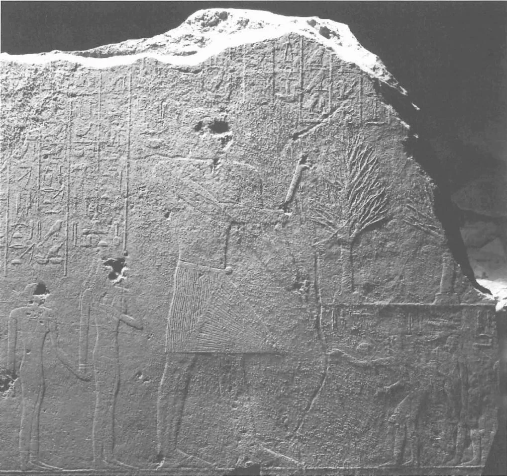 Pharaoh Sahure with his Incense Tree from Punt. Source: SAHURE – THE PYRAMID CAUSEWAY HISTORY AND DECORATION PROGRAM IN THE OLD KINGDOM, pg 82.