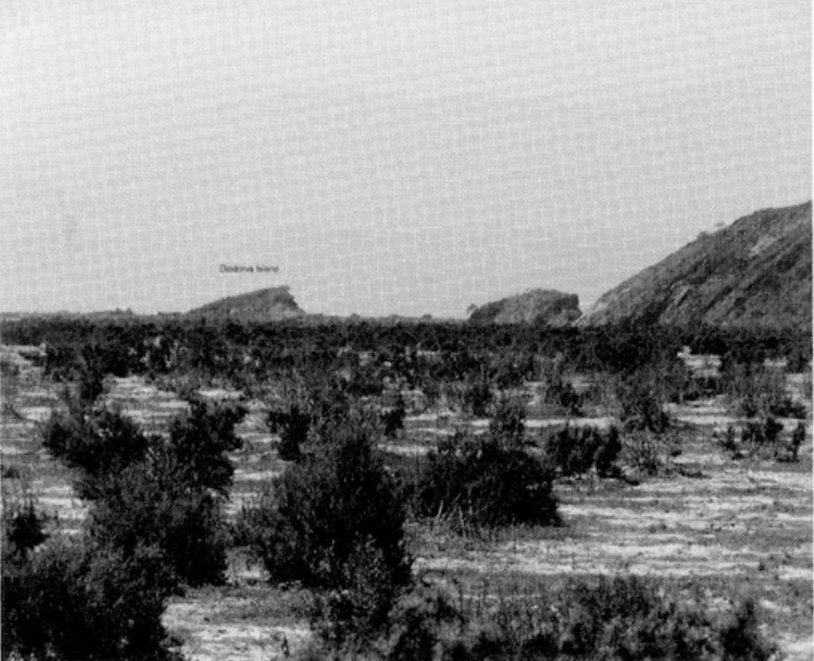 View Of “Diodorus Island”. Source: The Ancient Red Sea Port of Adulis, Eritrea Results of the Eritro-British Expedition, 2004-5, Figure 4.3
