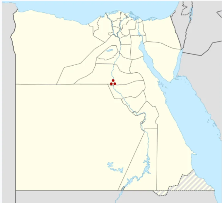 Location of Hermopolis Magna in Egypt. (Source)