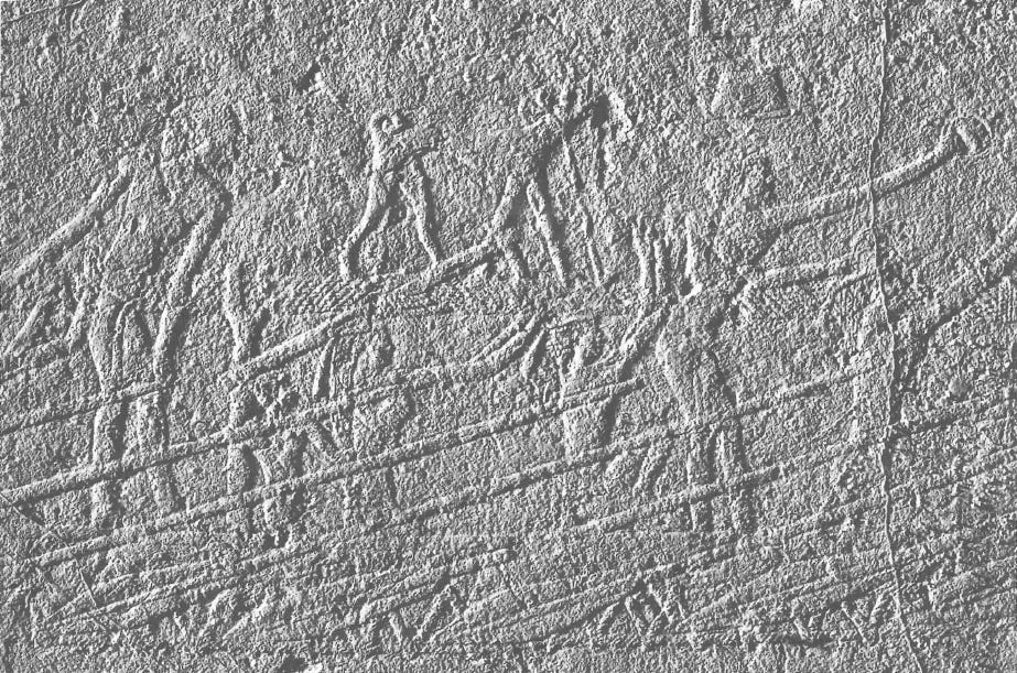 Puntites who accompanied the Ancient Egyptians returning to Punt. Source : SAHURE – THE PYRAMID CAUSEWAY HISTORY AND DECORATION PROGRAM IN THE OLD KINGDOM, pg 159