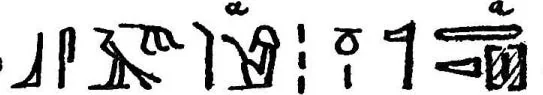 Inscription stating, ḫbś.tıʾ w n(.ıʾ )w tȝ-nčr, which means the bearded ones of gods-land (=Punt). Source: The Ancient Egyptian Etymology of Ḥabašāt “Abessinia” pg 11 & Urkunden des ägyptischen Altertums, Volume IV, Inscription 345, section 14.