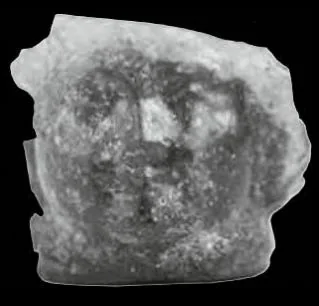 Glass Cup With A Moulded Face. Source: Matara: the Archaeological Investigation of a City of Ancient Eritrea , Figure 48