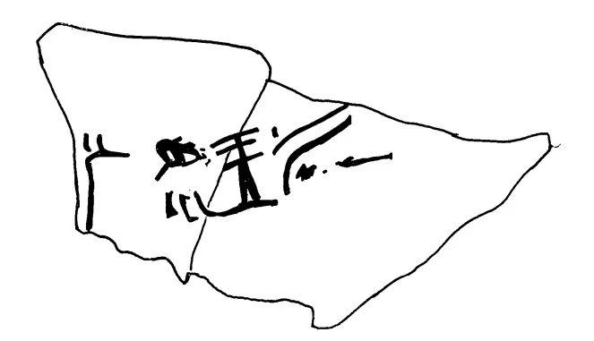 Pottery Shared found at Mersa Gawsis, mentioning “Bawerded”. Source: New Light on the Recently Discovered Port An in on the Red Sea Shore, pg 27.