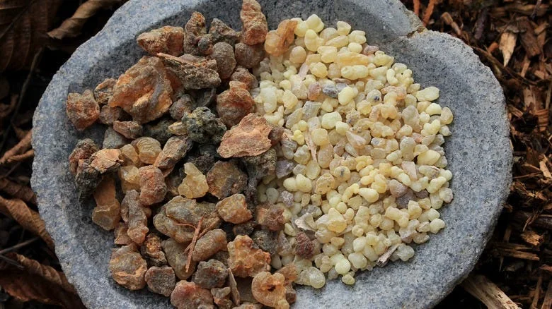On the left is Myrrh and on the right, Frankincense. These were the main trade commodities of the Land of Punt in its exchange with ancient Egypt. (Source)