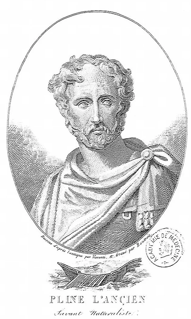 Imaginative 19th-century portrait. No contemporary depiction of Pliny has survived. Source