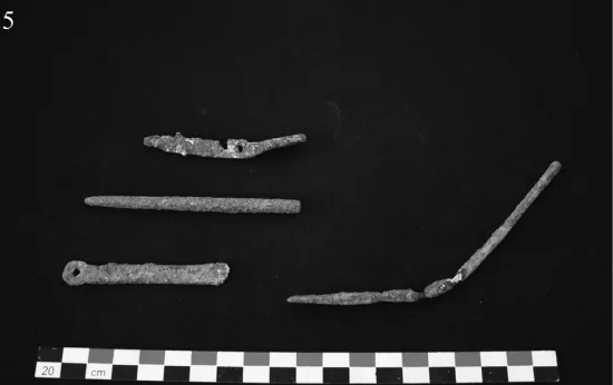 Iron Medical utensils found at Adulis. Source: The Ancient Red Sea Port of Adulis and the Eritrean Coastal Region, pg 75.