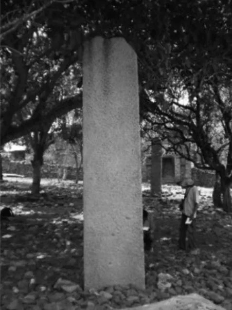 A 2nd-3rd century AD stele found in Ḥәnzat, Tigray.(53km south-east of Adwa) that mentions a king named A’ GZ. Source: New data on ‘GZ, Son of a King, From a 3d c. AD Unvocalized Gәᶜәz Inscription (Ḥәnzat, Tәgray), pg 15.