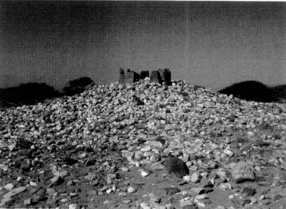 Architectural ruins at Samidi. Source: The Throne of Adulis: Red Sea Wars on the Eve of Islam, Figure 7.5.