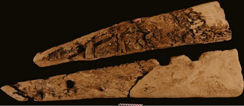 A ship’s rudder blade (used for steering), dated to the 12th Dynasty, was discovered at Mersa Gawasis. Source: Seafaring Expeditions to Punt in the Middle Kingdom, Figure 22.