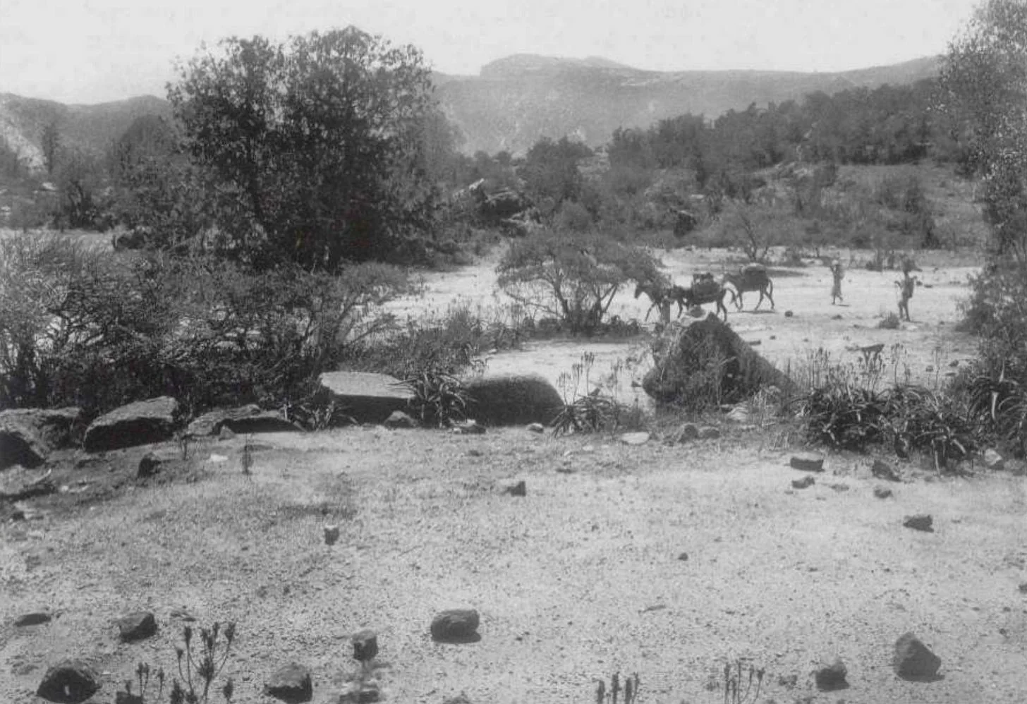 Southern Group Of Stelae At Käskäse. Source: Die Deutsche Aksum - Expedition 1906 unter Enno Littman (Vol.1), pg 335.