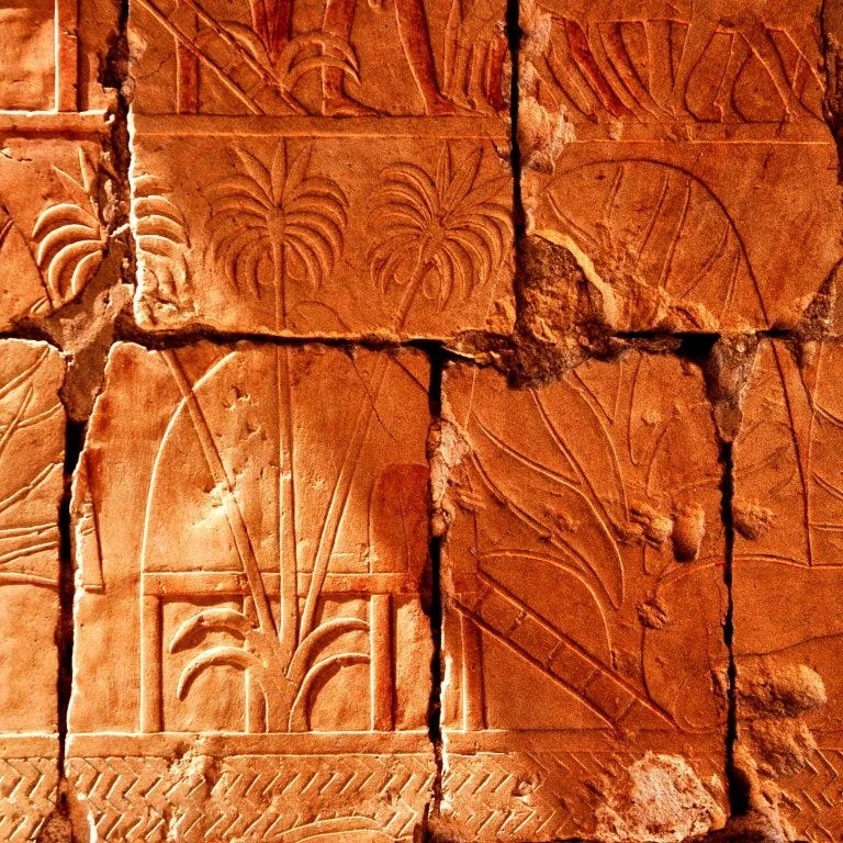 The raised-huts of the Puntites