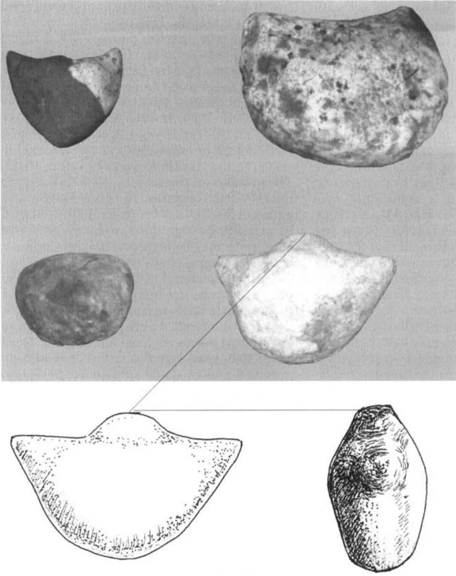 Stone Bullheads from Sembel. (Source: Urban precursors in the Horn: Early 1st-millennium BC communities in Eritrea, pg 856)