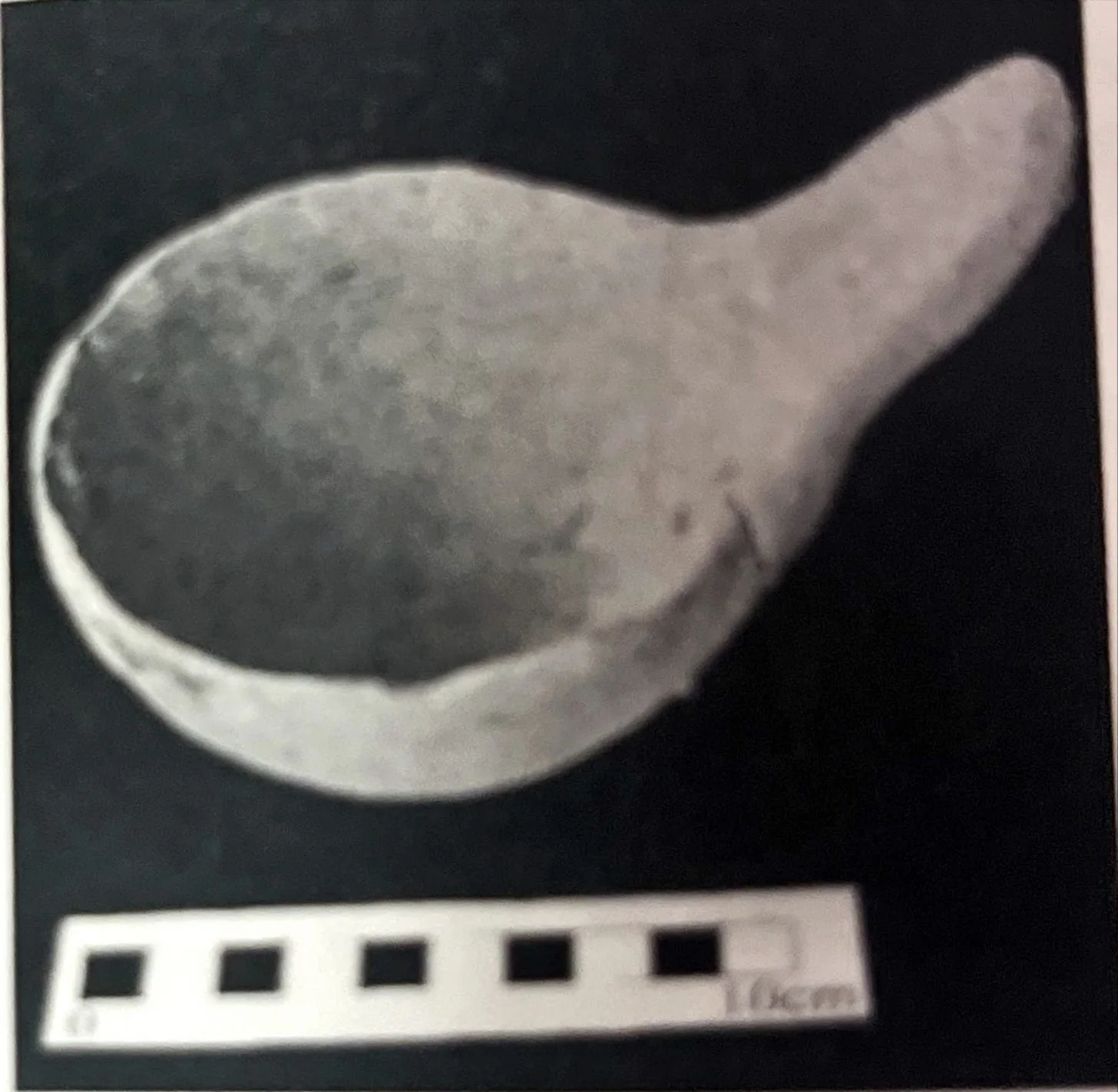 Large Spoon, used to serve sauces. (Source: The Archeology Of Ancient Eritrea: pg 148)