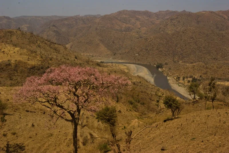 The Tekezé River. Source
