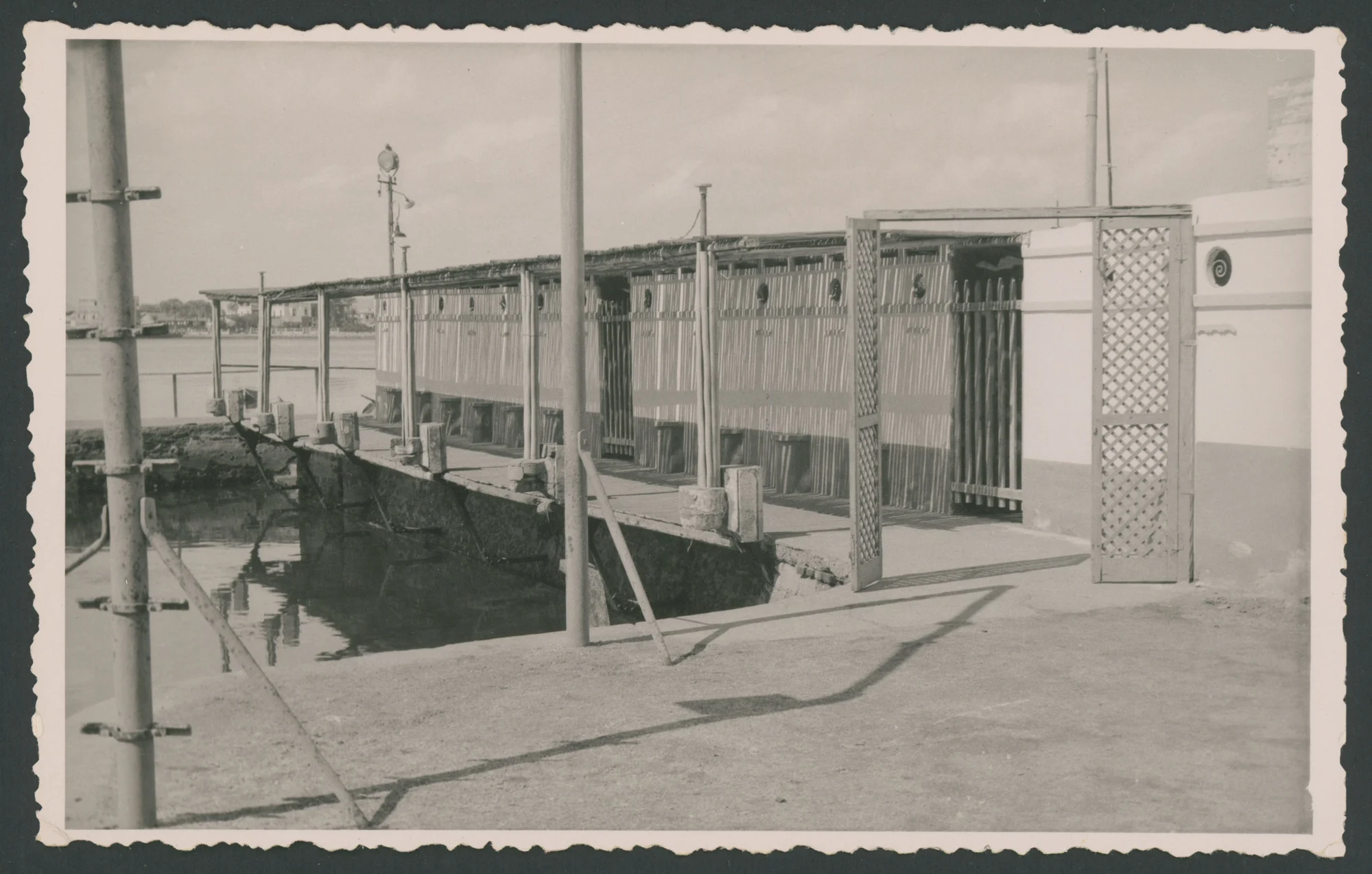 Eritrea
1 fotografia : gelatina a sviluppo
Titolo attribuito dal catalogatore
Timbro sul verso: Foto Fiorentini Massaua