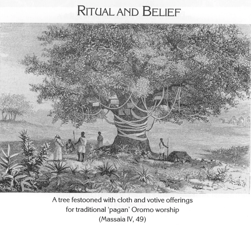 A tree festooned with cloth and votive offerings for traditional 'pagan' Oromo worship (Massaia IV, 49)