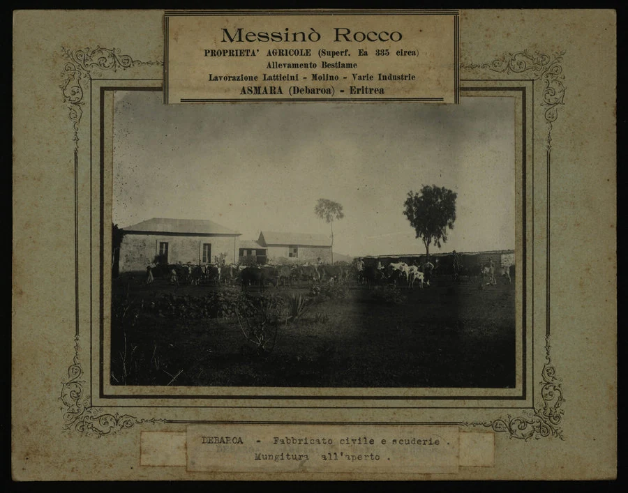 Debaroà. Azienda Messinò