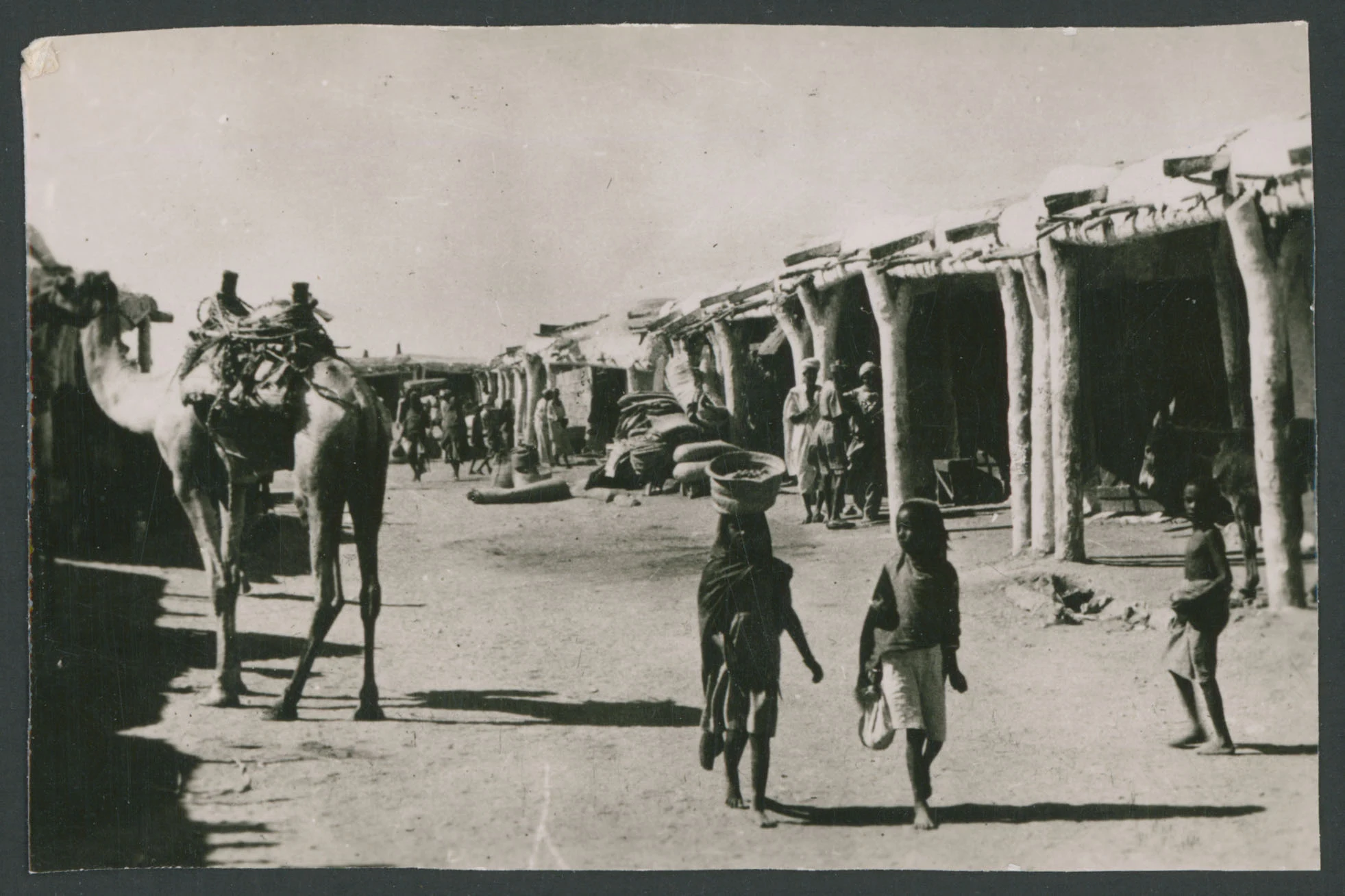 Mercato di strada a Tessenei in Eritrea
1 provino fotografico : gelatina a sviluppo
Titolo ricavato da nota manoscritta sul verso
Nota manoscritta sul verso: Tessenei; 049
Scritta su carta fotografica sul verso: Velox