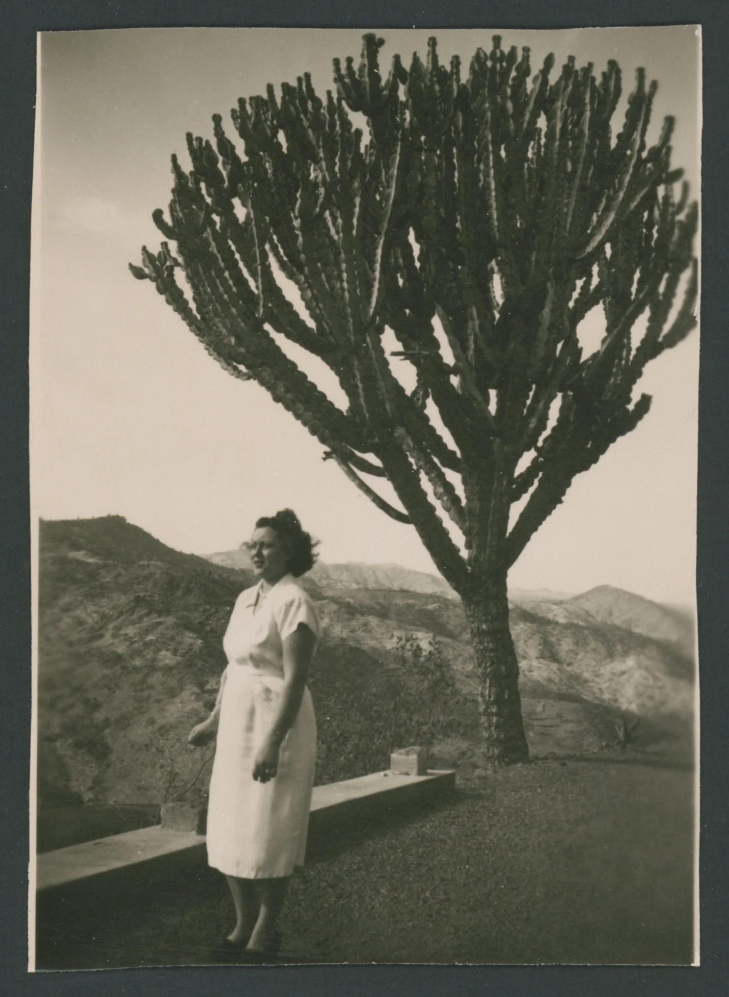 Donna davanti ad un albero a Cheren in Eritrea.
1 provino fotografico : gelatina a sviluppo
Titolo ricavato da nota manoscritta sul verso
Nota manoscritta sul verso: Cheren