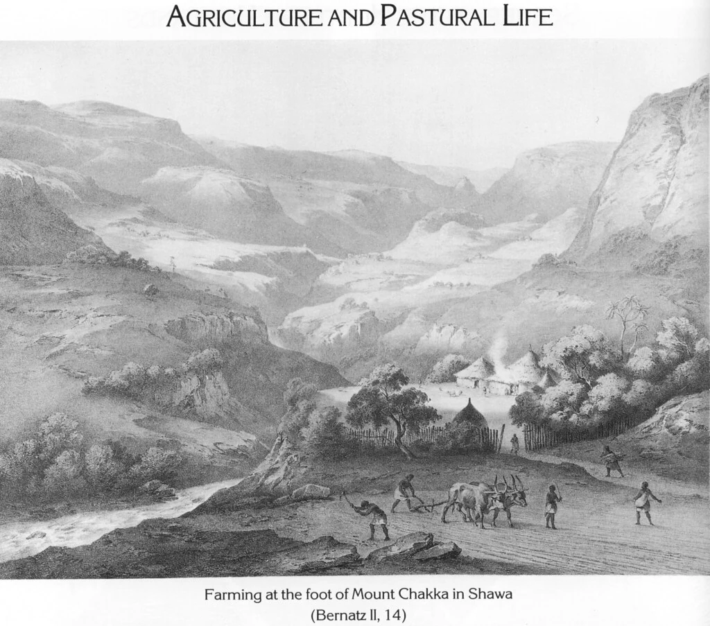 Farming at the foot of Mount Chakka in Shawa