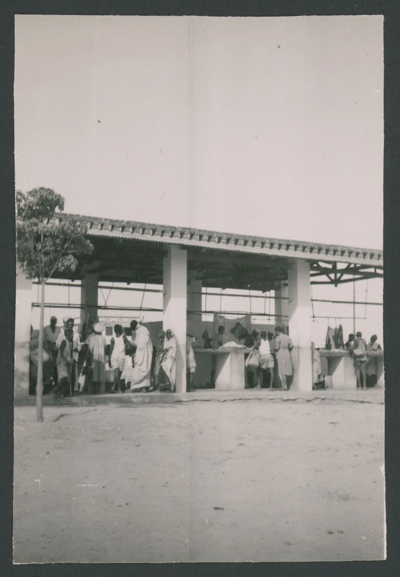Agordat in Eritrea
1 provino fotografico : gelatina a sviluppo
Titolo ricavato da nota manoscritta sul verso
Nota manoscritta sul verso: Agordat; 21
Scritta su carta fotografica sul verso: Velox