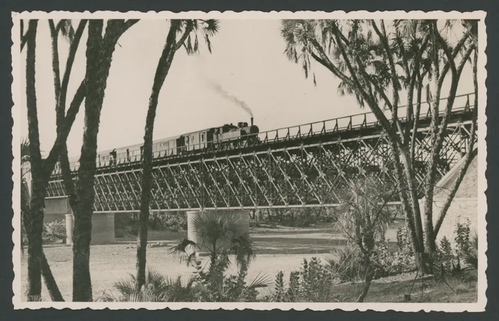 Ponte ferroviario sul fiume Barca in Eritrea
1 cartolina fotografica : gelatina a sviluppo
Titolo ricavato da timbro sul verso 
Timbri sul verso: Edizioni Foto Lusvardi Asmara Ripsoduzione [i.e. riproduzione] vietata; Eritrea - Ferrovia Cheren - Agordat
Nota manoscritta sul verso: Ponte sul Barca