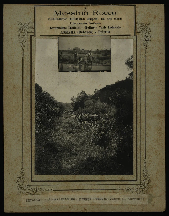 Debaroà. Azienda Messinò