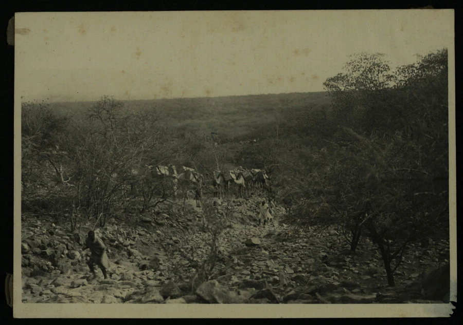Adi Qualà. Commemorazione dei caduti di Adua. (Le salme varcano i confini della colonia; l'arrivo del comandante delle truppe; lo sfilamento delle salme; lo scarico delle salme; la funzione religiosa di benedizione; Sua Maestà il governatore con il seguito e la scorta d'onore). 1928