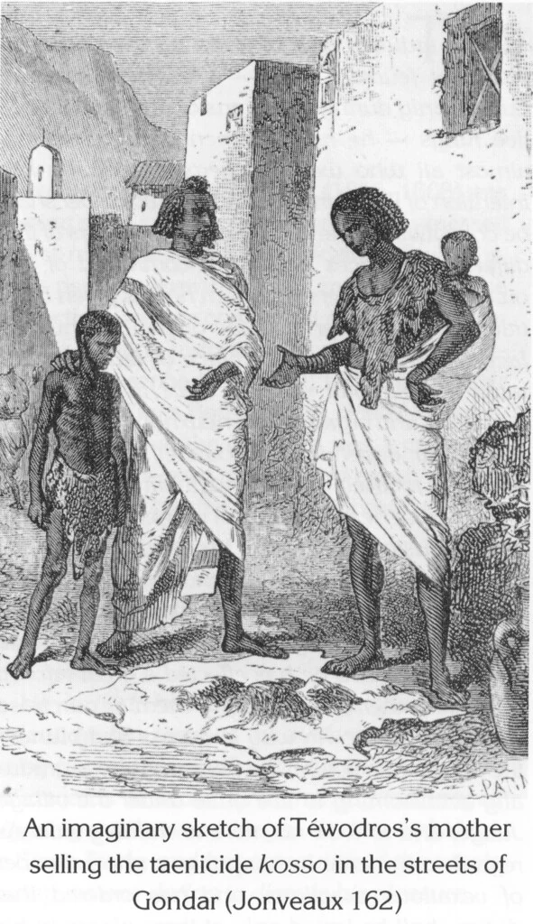 An imaginary sketch of Téwodros's mother selling the taenicide kosso in the streets of Gondar (Jonveaux 162)