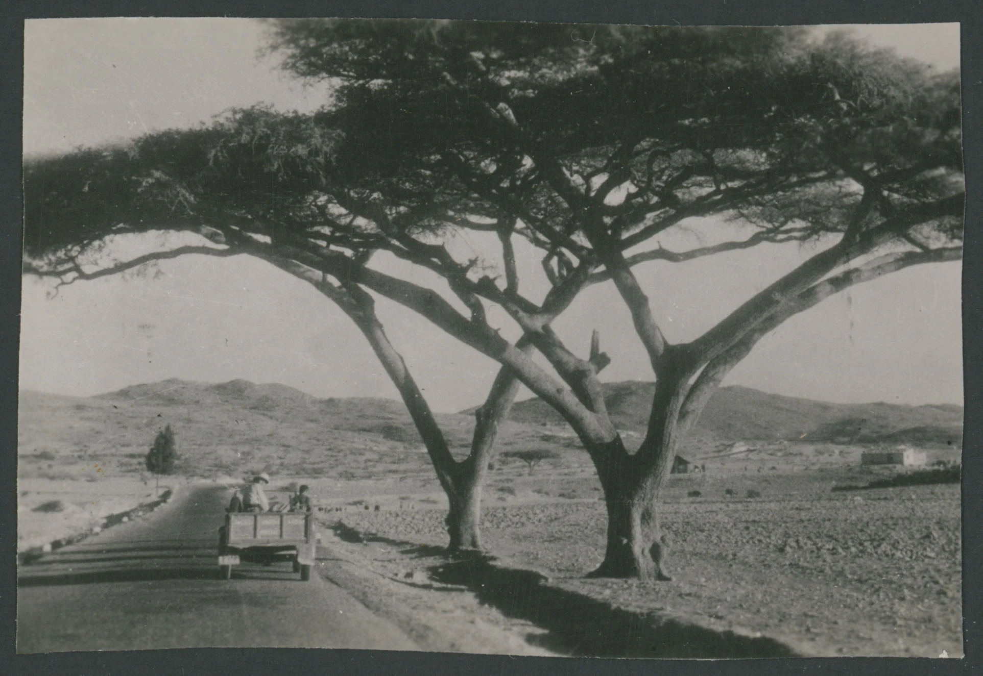 Autocarro lungo una strada con alberi in Eritrea
1 provino fotografico : gelatina a sviluppo
Titolo attribuito dal catalogatore
Nota manoscritta sul verso: Amba dorò; 36