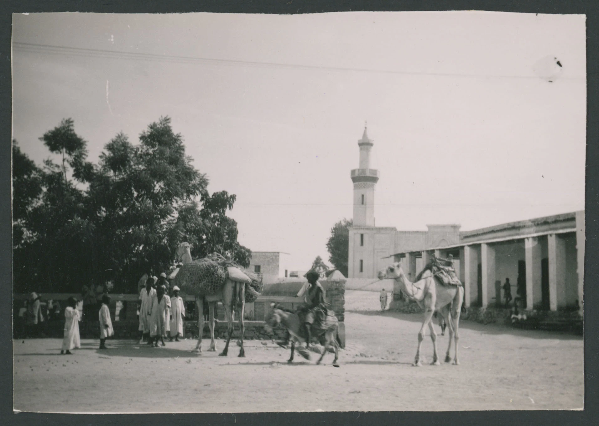 Gruppo di persone ed animali vicino ad un minareto ad Agordat in Eritrea
1 provino fotografico : gelatina a sviluppo
Titolo ricavato da nota manoscritta sul verso
Nota manoscritta sul verso Agordat; 21
Scritta su carta fotografica sul verso: Velox