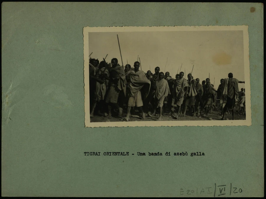 Tigrai Orientale. Una banda di azebù galla