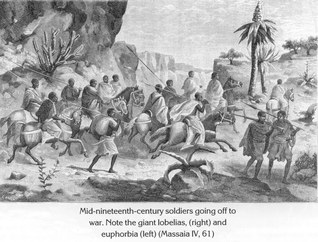 Mid-nineteenth-century soldiers going off to war. Note the giant lobelias, (right) and euphorbia (left) (Massaia IV, 61)