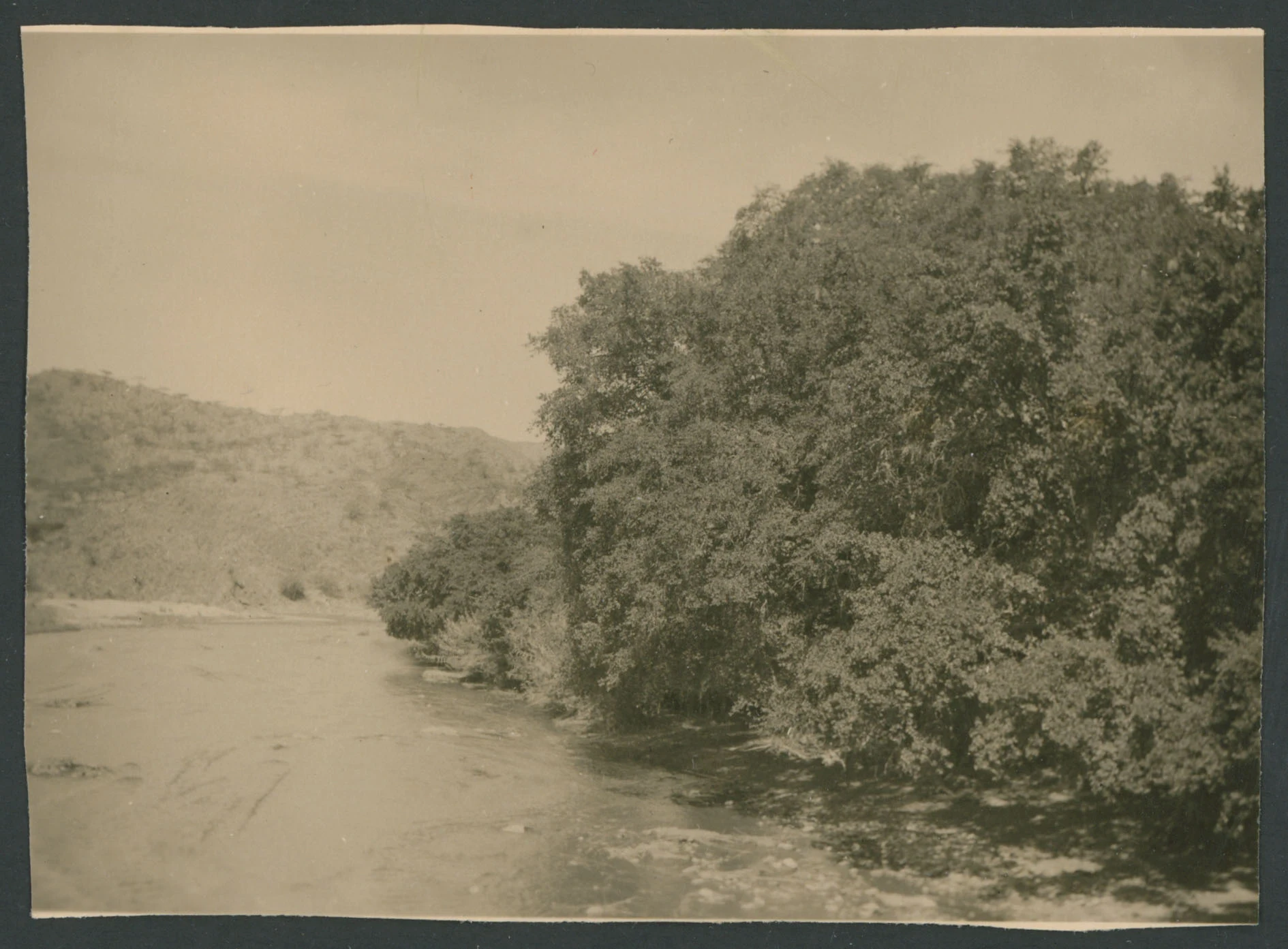 Vegetazione lungo un fiume a Barentù in Eritrea
1 provino fotografico : gelatina a sviluppo
Titolo ricavato da nota manoscritta sul verso
Nota manoscritta sul verso: Berentù