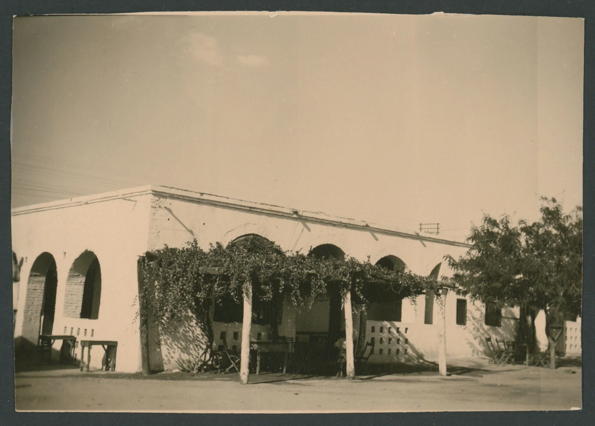 Edificio (tecceria?) a Barentù in Eritrea
1 provino fotografico : gelatina a sviluppo
Titolo ricavato da nota manoscritta sul verso
Nota manoscritta sul verso: Barentù