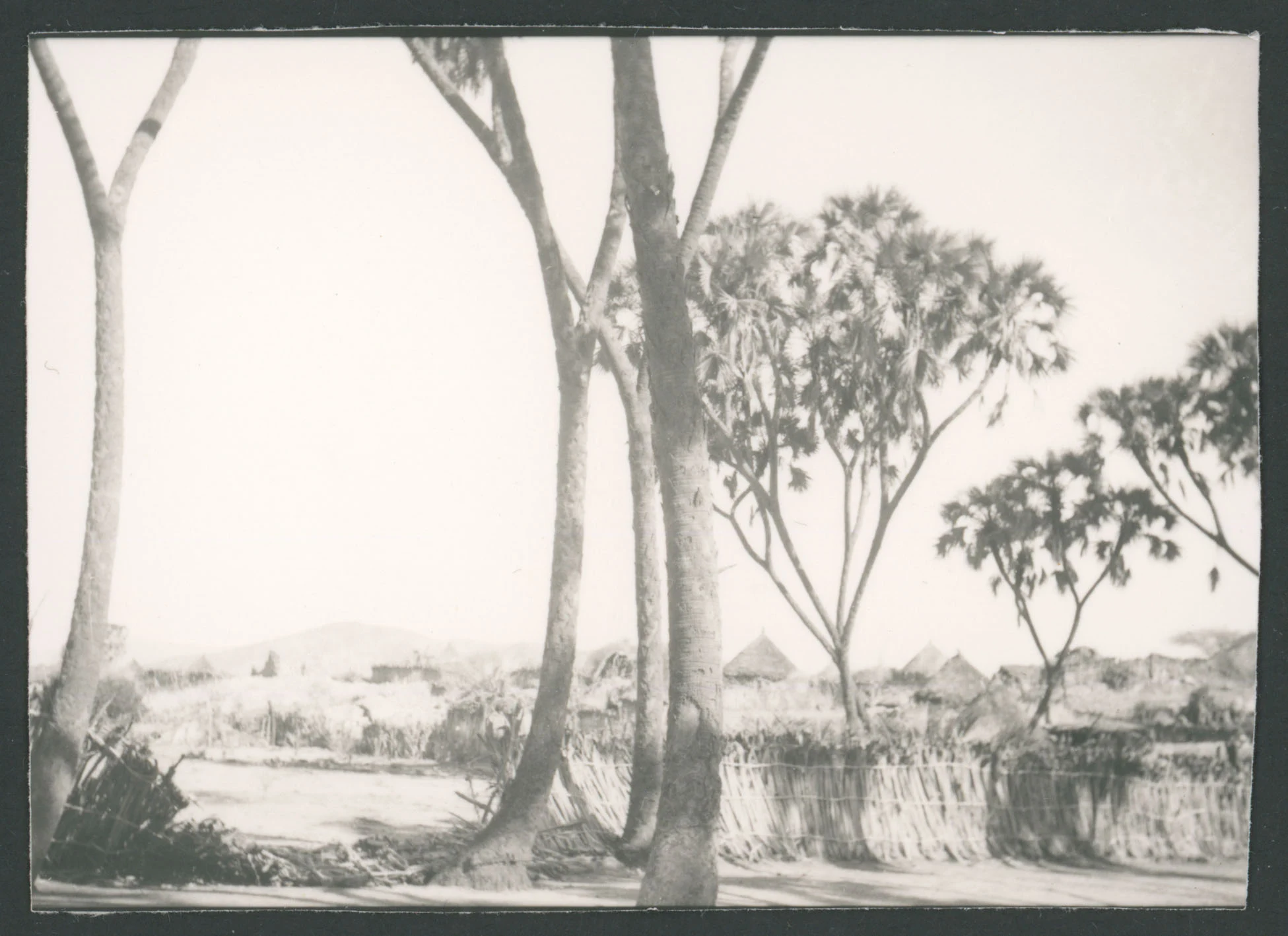 Veduta con alberi e tucul a Barentù in Eritrea
1 provino fotografico : gelatina a sviluppo
Titolo attribuito dal catalogatore, desunto da foto 293