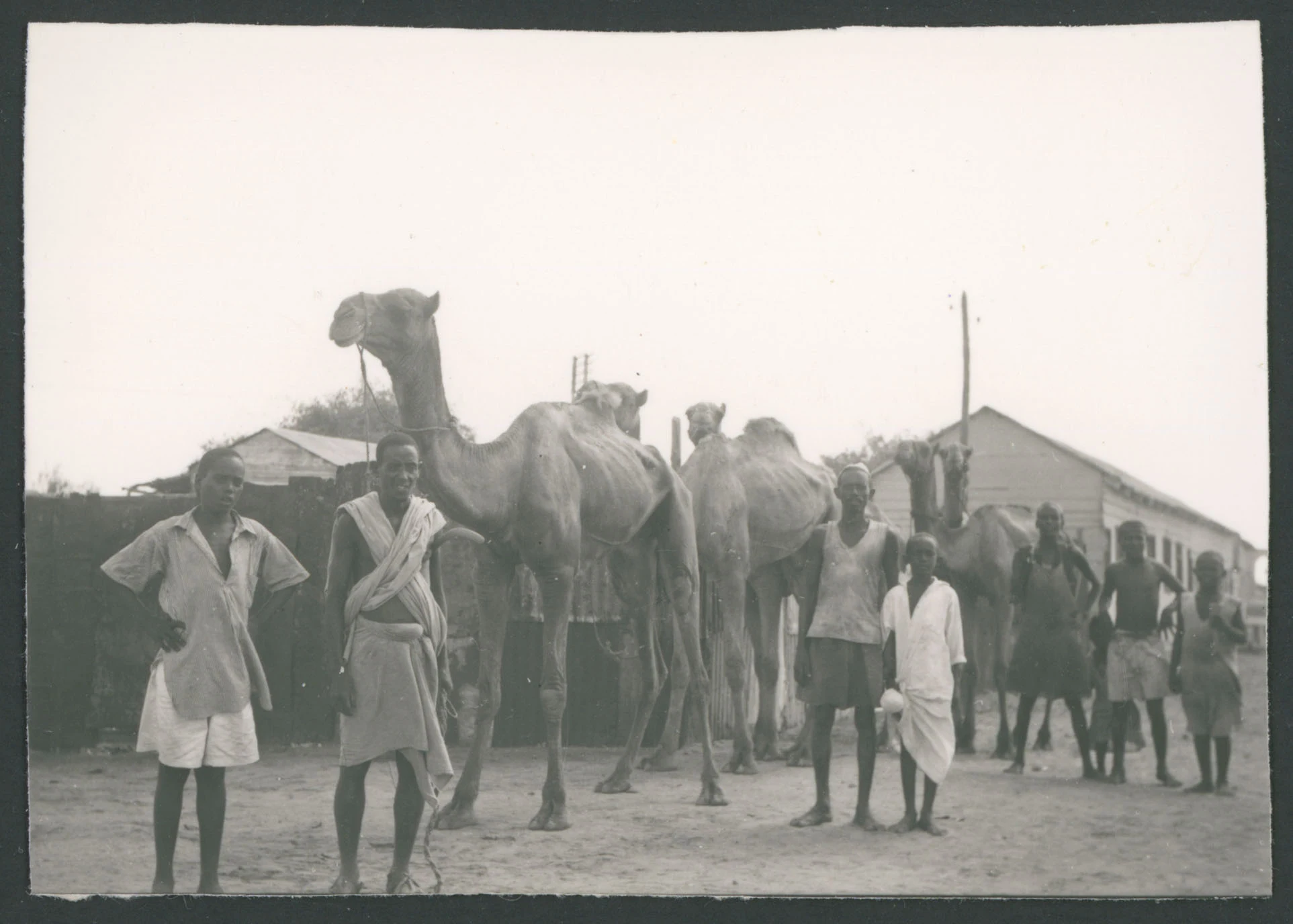 Uomini e dromedari a Tessenei in Eritrea
1 provino fotografico : gelatina a sviluppo
Titolo manoscritto sul verso
Nota manoscritta sul verso: Tessenei Eritrea
Scritta su carta fotografica sul verso: Agfa-Brovira