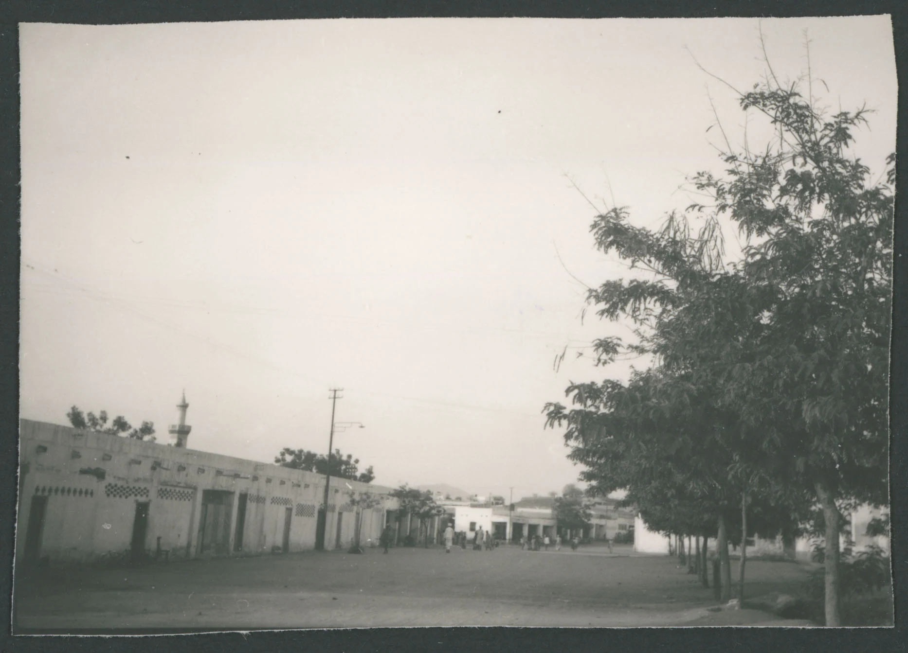 Strada cittadina di Asmara in Eritrea
1 provino fotografico : gelatina a sviluppo
Titolo attribuito dal catalogatore, desunto da foto 231