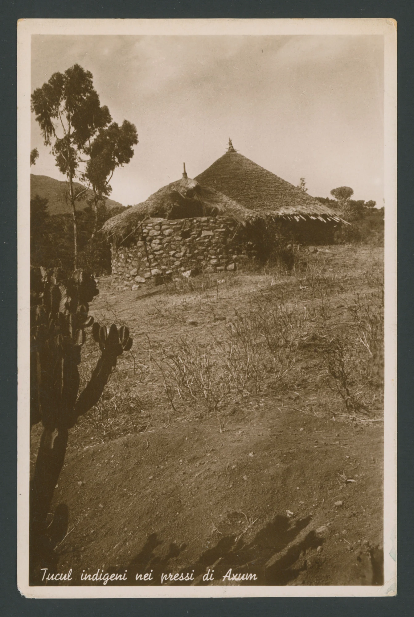 Tucul indigeni nei pressi di Axum (Etiopia)
1 cartolina fotografica : gelatina a sviluppo
Titolo stampato sul recto
TImbri sul verso: Fotocelere di A.Campassi Torino - Via Marochetti 41-1938-XVI; Vera fotografia; Rip. interdetta; 9 - Negativo G. Gabotti