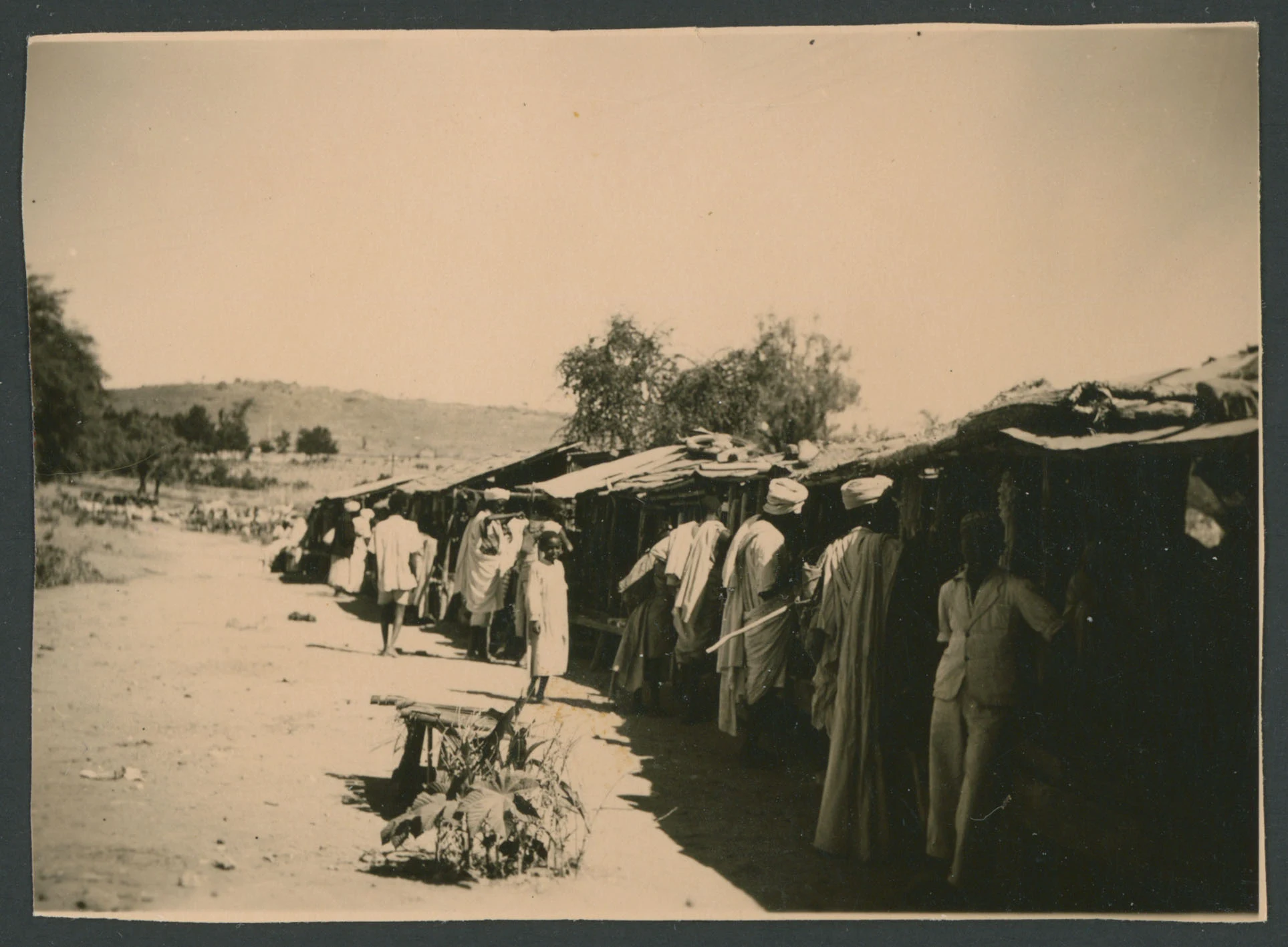 Mercato a Cheren in Eritrea
1 provino fotografico : gelatina a sviluppo
Titolo manoscritto sul verso
Nota manoscritta sul verso: Cheren (Eritrea); 23-11-1952