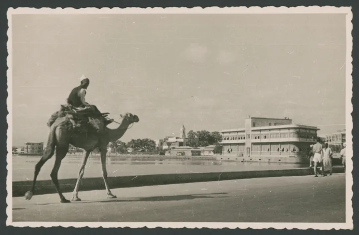Scorcio cittadino con in primo piano un uomo in sella ad un dromedario in Eritrea
1 cartolina fotografica : gelatina a sviluppo 
Titolo ricavato da timbro sul verso
Timbri sul verso: Edizioni Foto Lusvardi Asmara Ripsoduzione [i.e. riproduzione] vietata; Massaua - (Eritrea)
Nota manoscritta sul verso: 16