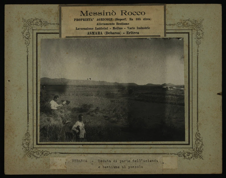 Debaroà. Azienda Messinò