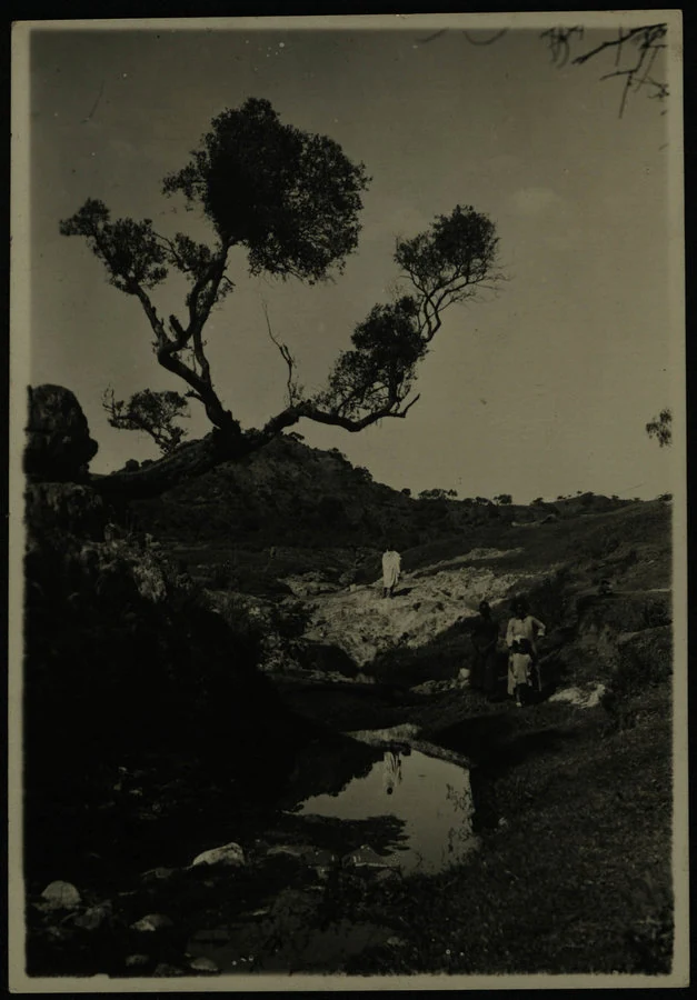 Adi Caieh. Scavo in trincea per presa d'acqua. Panorama