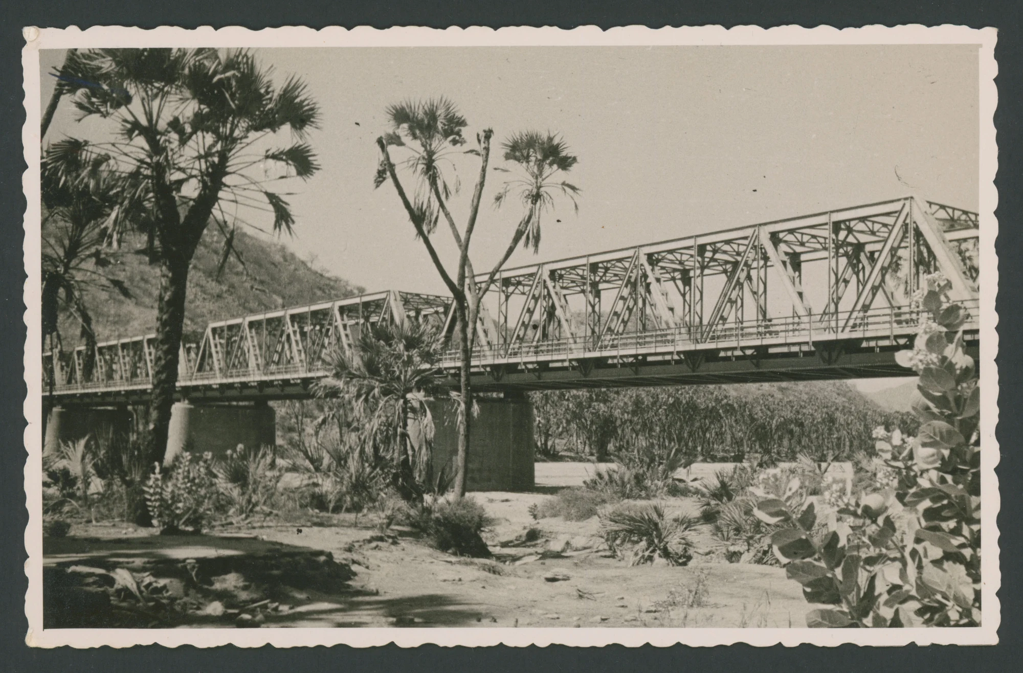 Ponte sul fiume Barca della strada Asmara-Tessenei in Eritrea
1 cartolina fotografica : gelatina a sviluppo
Titolo manoscritto sul verso
Timbro sul verso: Reg. E. Lusvardi Riproduzione vietata;
Nota manoscritta sul verso: 860; Eritrea - Ponte sul Barca della strada Asmara-Tessenei (strada per il Sudan)