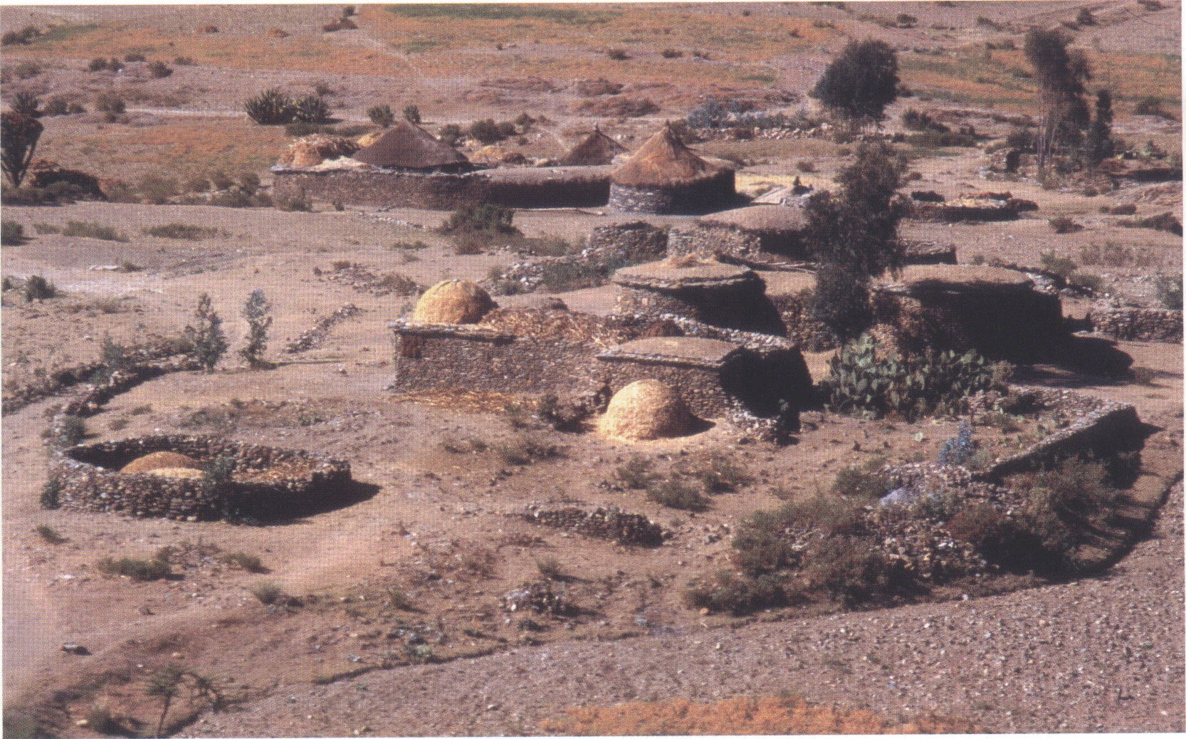 5 A typical Tigray farmstead on the northeastern edge of the Hawzien Plain, 1997.