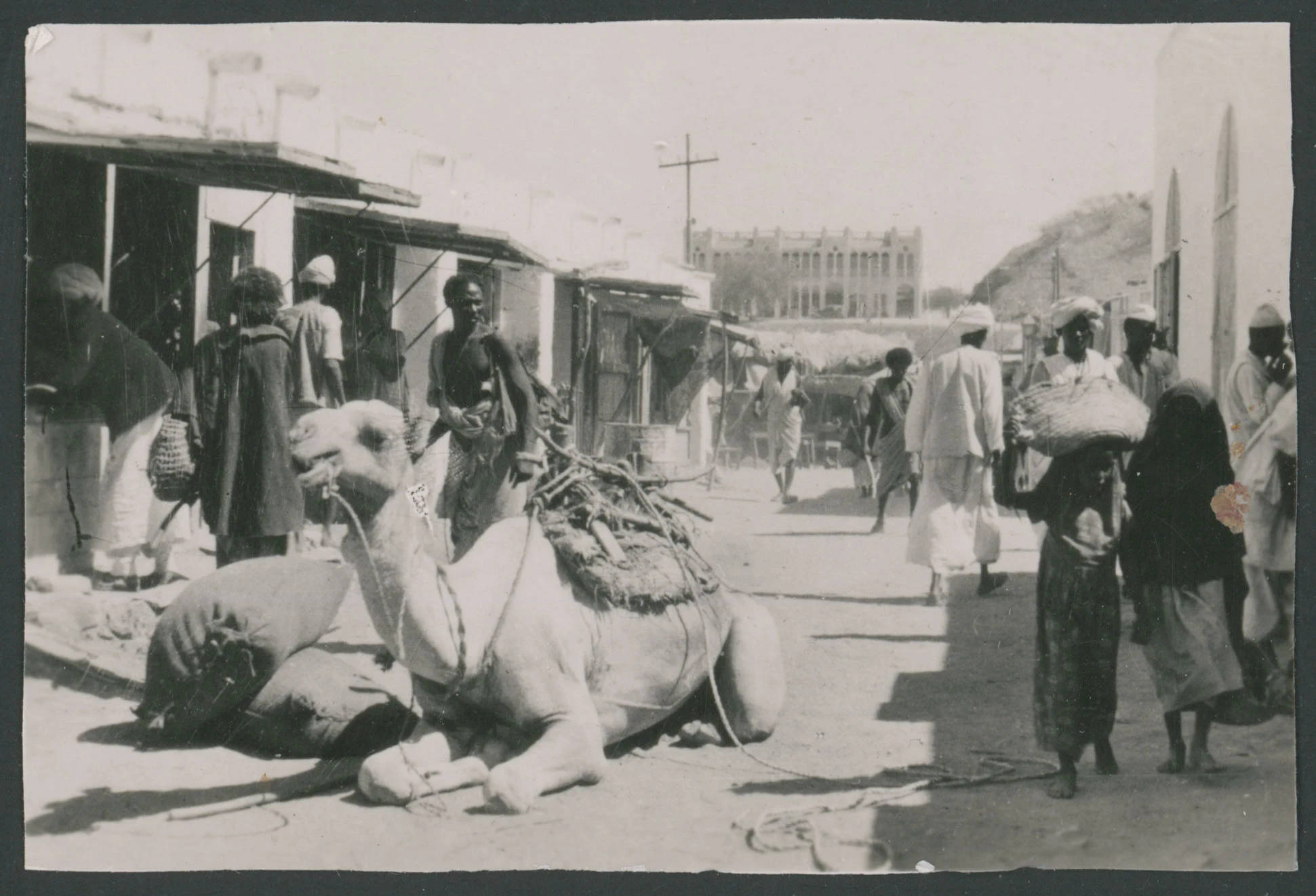 Strada cittadina di Cheren in Eritrea con un dromedario in primo piano
1 provino fotografico : gelatina a sviluppo
Titolo ricavato da nota manoscritta sul verso
Nota manoscritta sul verso: Cheren; 03